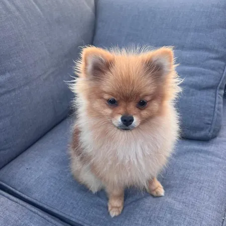 4/6 Personnes La Melodie Du Bonheur * Habas