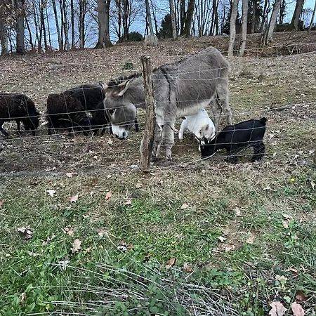 4/6 Personnes La Melodie Du Bonheur Holiday home Habas